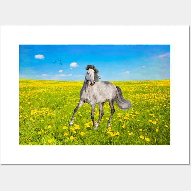 Dapple Gray Horse in Spring Field Wall Art by lauradyoung